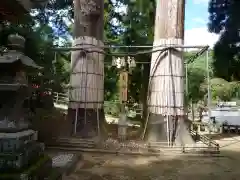 仲山神社（美杉町八知）の自然