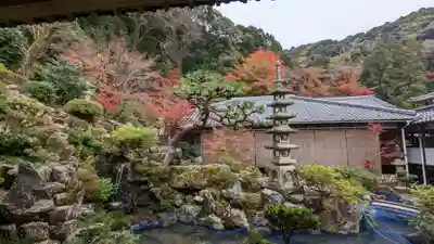 興聖寺(興聖寶林禅寺)(京都府)