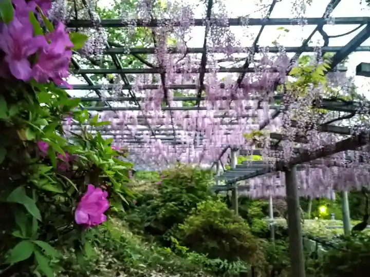 阿智神社(岡山県)