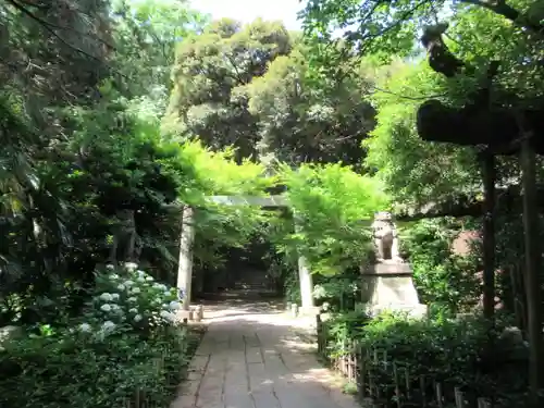 赤坂氷川神社(東京都)