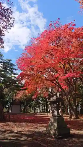 北広島市総鎮守　廣島神社の自然