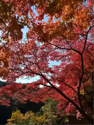 永源寺(滋賀県)