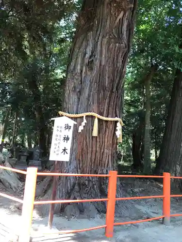 息栖神社のその他建物