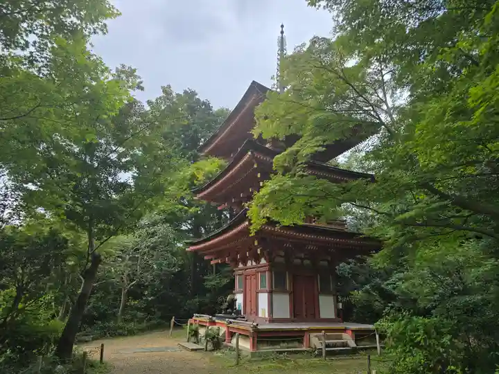 浄瑠璃寺(京都府)