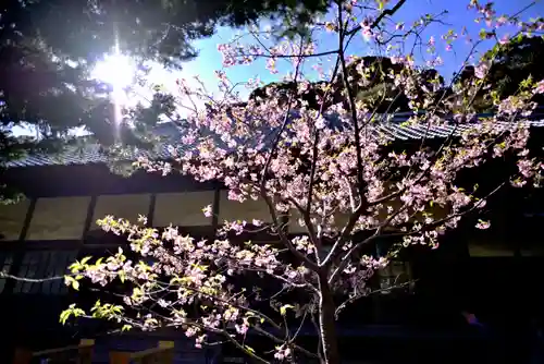 かっぱの寺 栖足寺の自然