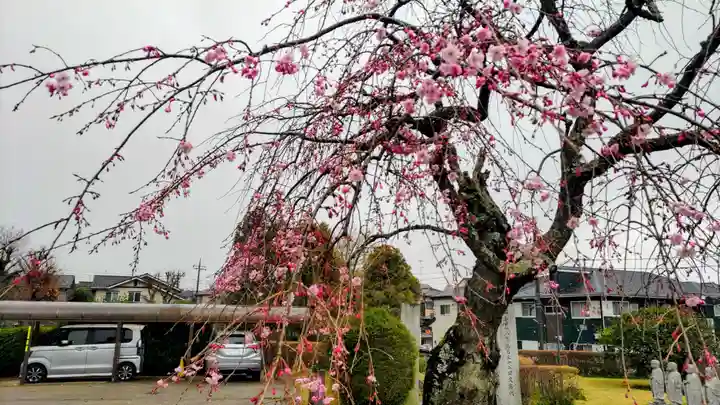 法岩院(千葉県)
