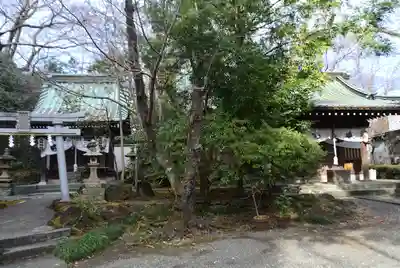 浅間神社(静岡県)
