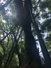 都萬神社(宮崎県)