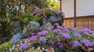 古知谷阿弥陀寺(京都府)
