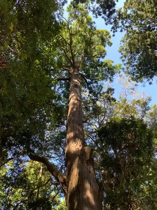 出戸稲荷神社の自然