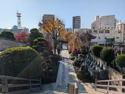 錫杖寺(埼玉県)