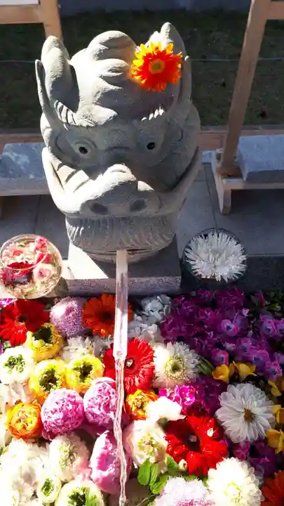 新川皇大神社の手水舎