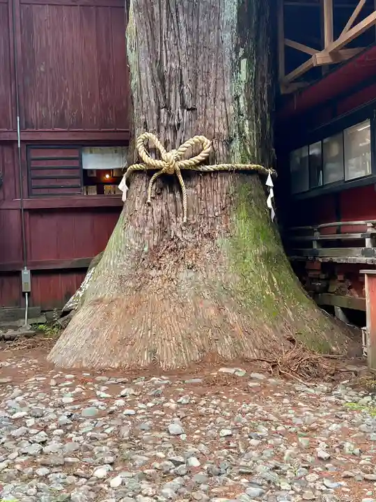 北口本宮冨士浅間神社(山梨県)