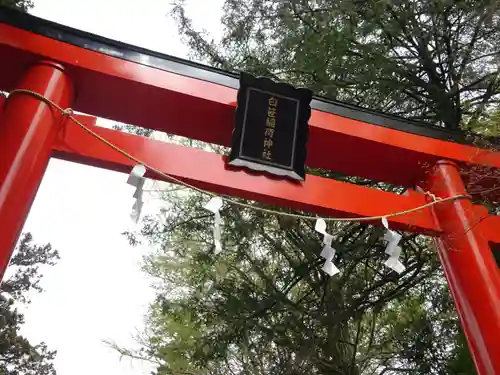 白笹稲荷神社の鳥居