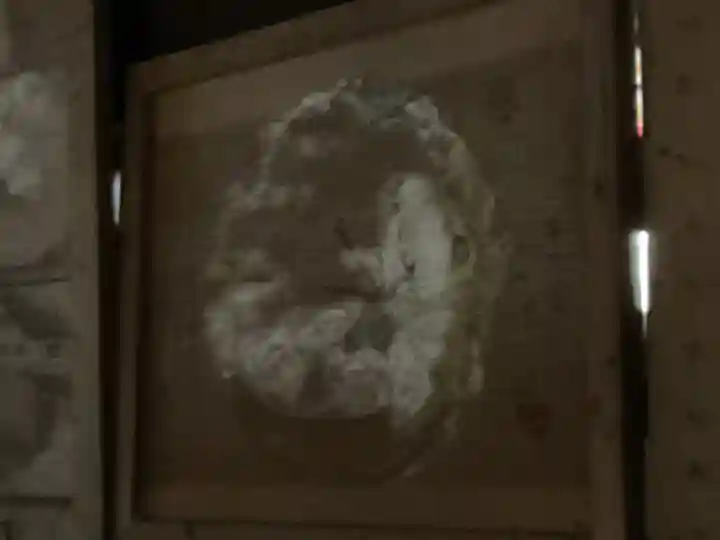 日龍峯寺(高澤観音)(美濃清水)(岐阜県)