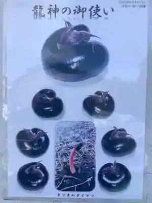 御井神社(岐阜県)