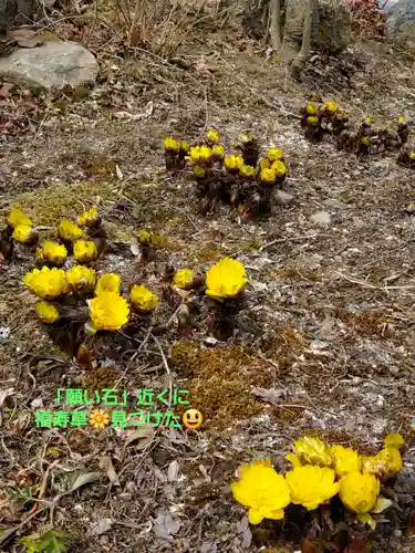 石都々古和気神社(福島県)