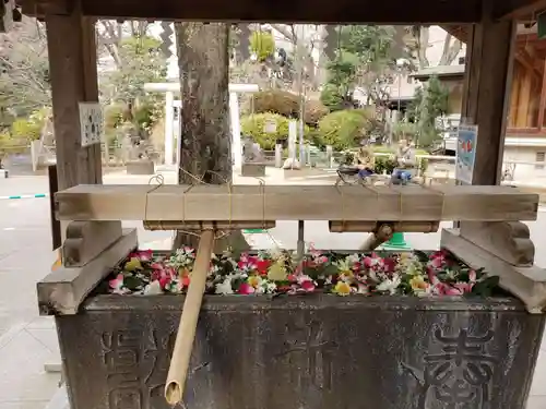 鳩森八幡神社の手水舎