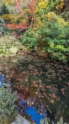 来迎院(京都府)