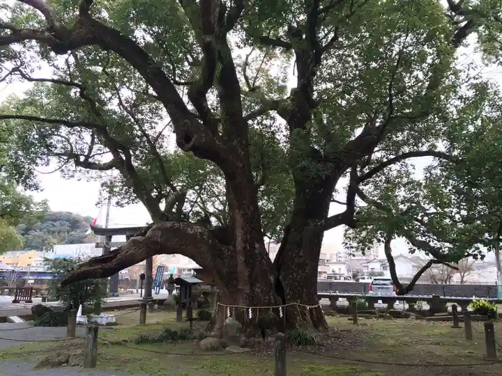 諫早神社(九州総守護 四面宮)(長崎県)