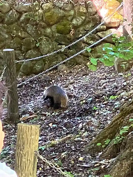 来迎院(奈良県)