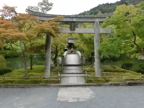 禅林寺（永観堂）の鳥居