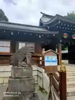 井草八幡宮の狛犬