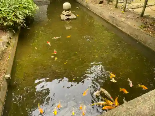 石鎚神社 口之宮 本社(愛媛県)