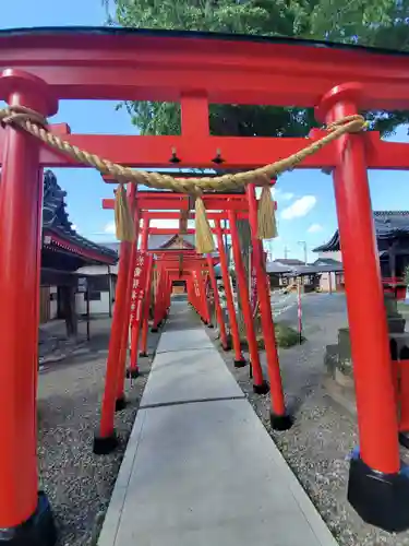 於菊稲荷神社の鳥居