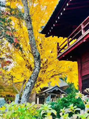 佐竹寺の{uncategorized: "未分類", other: "その他", undefined: "問題あり", building: "その他建物", grave: "お墓", sacred_gate: "鳥居", guardian: "狛犬", statue: "像", buddha: "仏像", history: "歴史", nature: "自然", garden: "庭園", animal: "動物", pagoda: "塔", temizu: "手水舎", mountain_gate: "山門・神門", sanctuary: "本殿・本堂", subordinate: "末社・摂社", art: "芸術", scenery: "景色", jizo: "地蔵", ema: "絵馬", goshuin: "御朱印", omikuji: "おみくじ", items: "授与品その他", amulet: "お守り", goshuincho: "御朱印帳", eats: "食事", festival: "お祭り", votive_dance: "神楽", shichigosan: "七五三参", wedding: "結婚式", experience: "体験その他", initially: "初詣", around: "周辺", anti_infection: "感染症対策"}