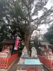 長田神社の像