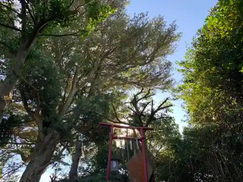 円山神社の自然