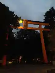 川越氷川神社の鳥居