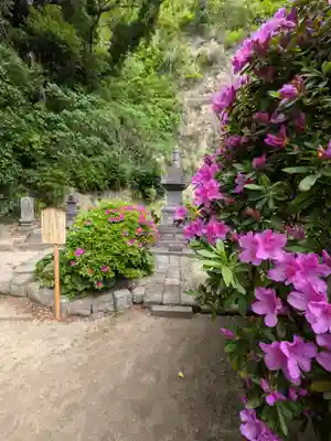 安養院　(田代寺）(神奈川県)
