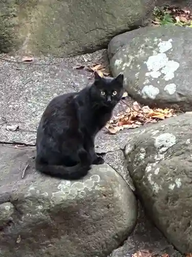 豊積神社(静岡県)