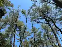 みそぎ御殿(宮崎県)