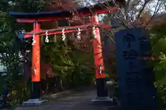 宇治上神社の鳥居