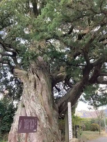 城願寺(神奈川県)