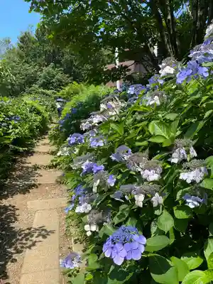 彌彦神社奥宮（御神廟）(新潟県)