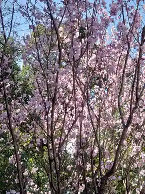 寒川神社(神奈川県)