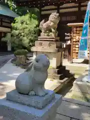 岡崎神社の狛犬