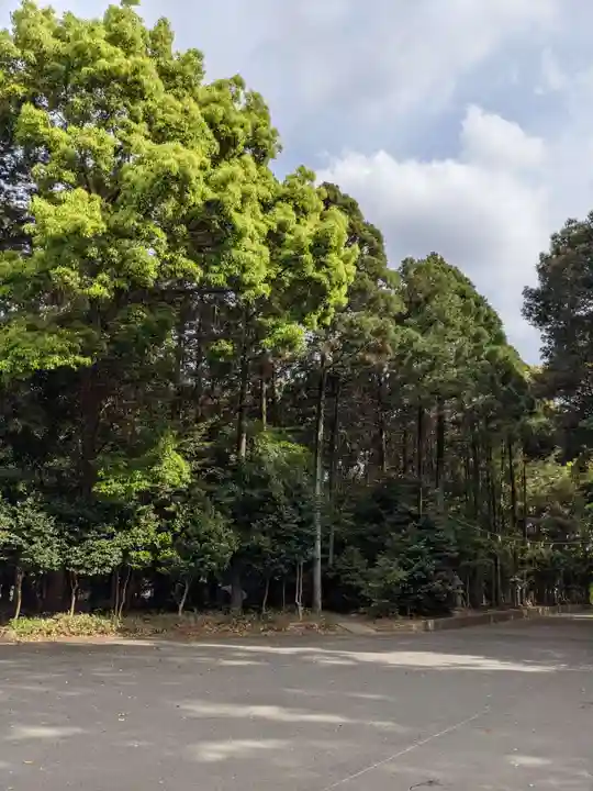 両社宮神社(宮町)の自然