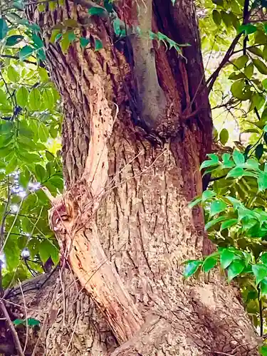 鷲神社(茨城県)