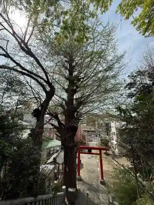 雷神社(神奈川県)