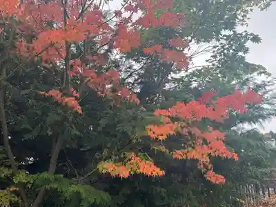 淺間神社（忍野八海）(山梨県)
