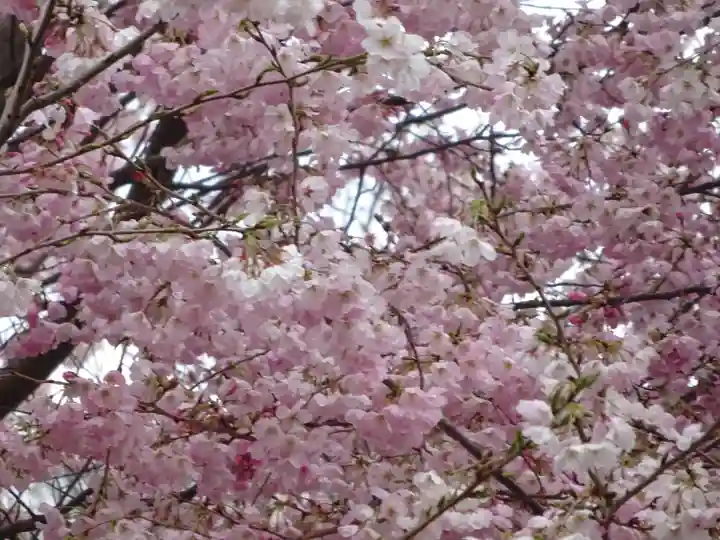 阿邪訶根神社(福島県)
