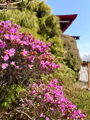 伊達神社(北海道)