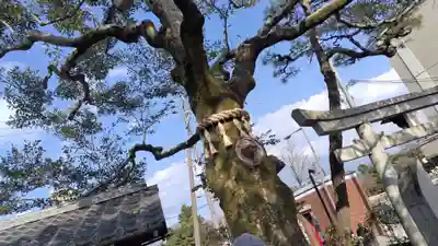 出町妙音堂(京都府)