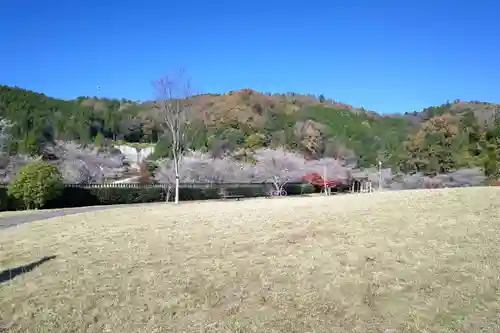 泥ぶち観音(愛知県)