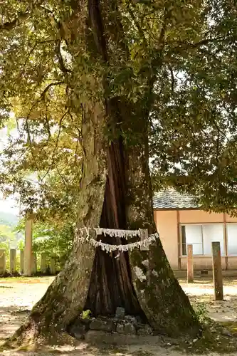 廣瀬神社(愛媛県)